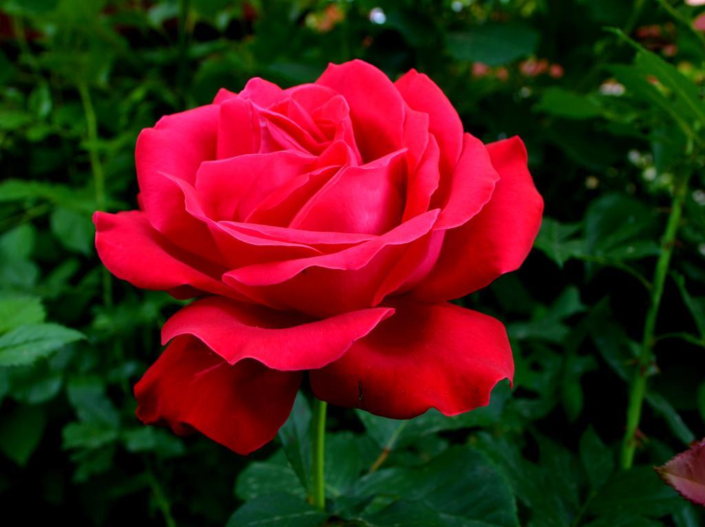 Casa Lorena 사라타몬테루 외부 사진